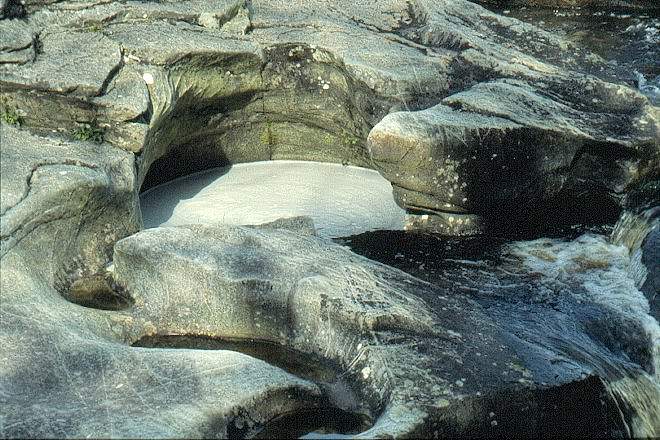 Algenschaum
